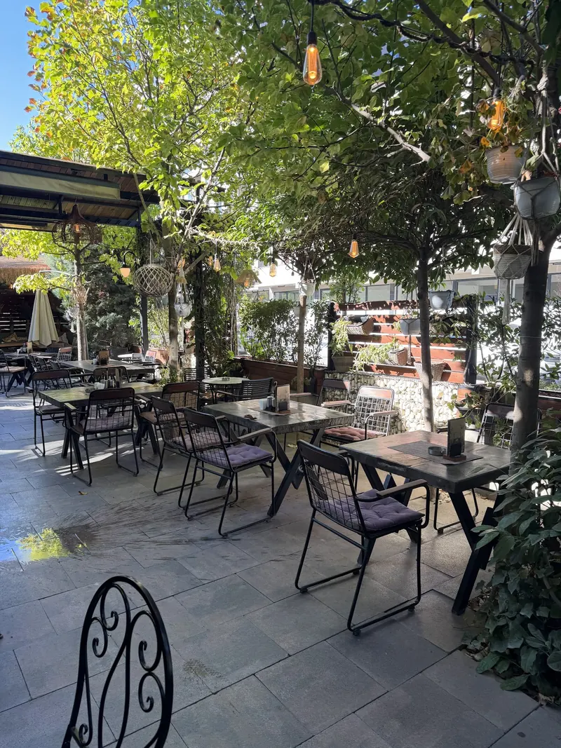 Bon Bouquet's tree-shaded terrace on a sunny day, with string lights and hanging pots