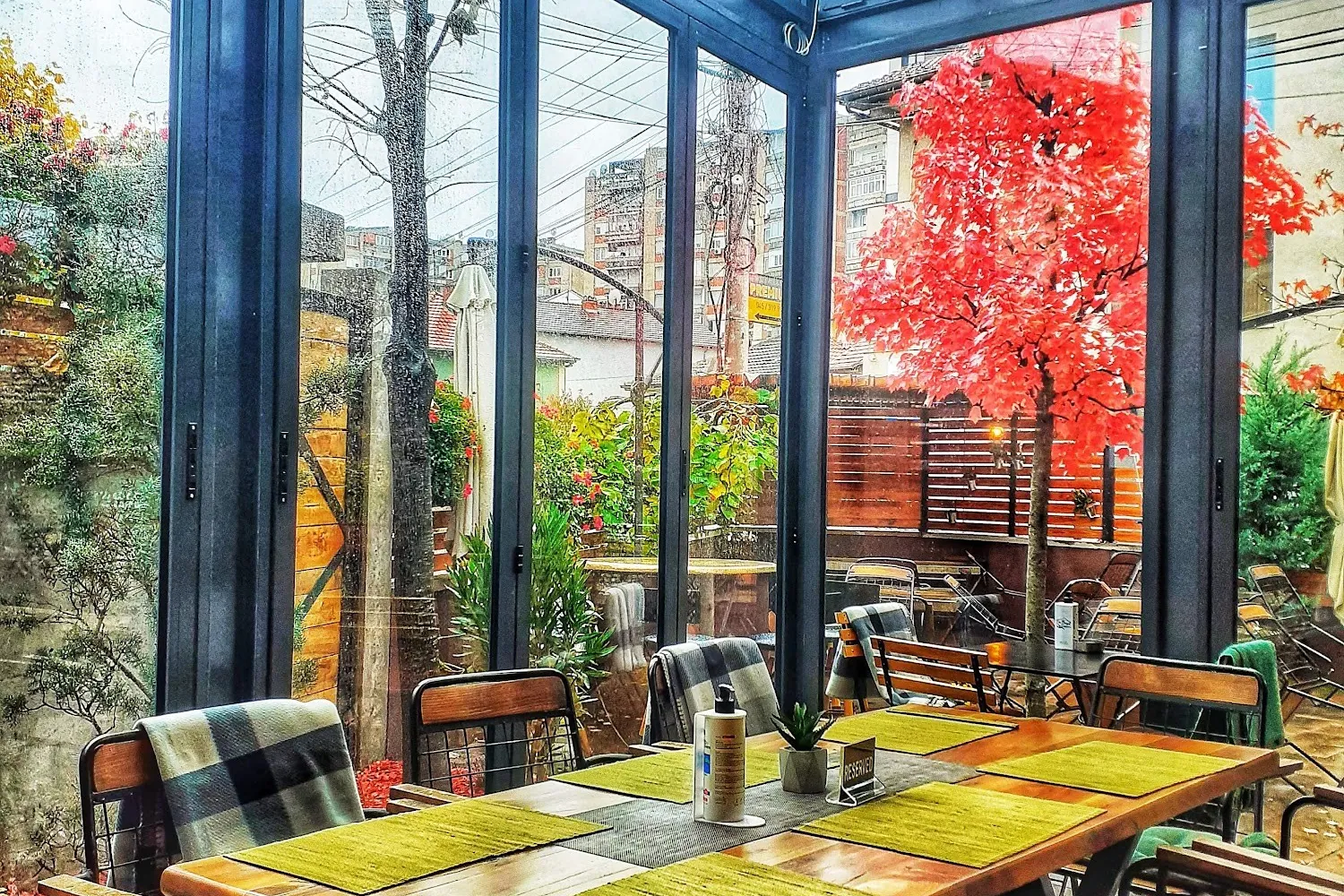 The glass room with a red maple outside the windows